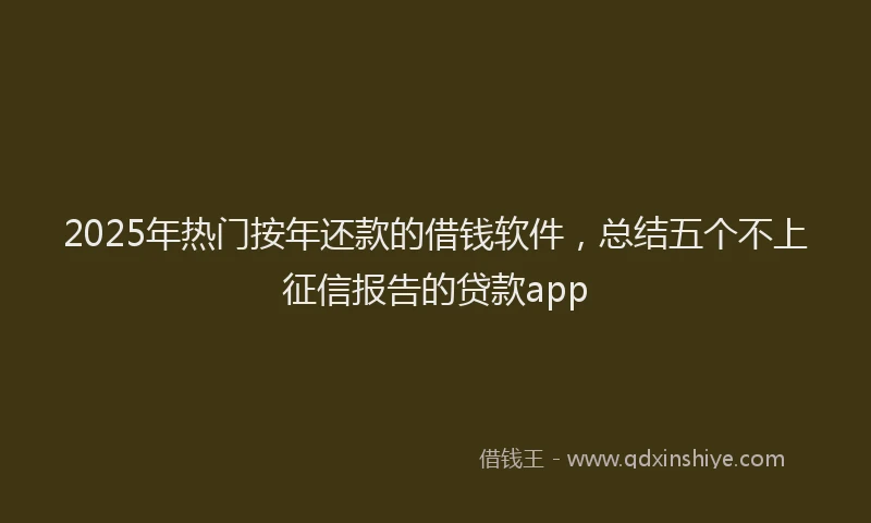 2025年热门按年还款的借钱软件，总结五个不上征信报告的贷款app