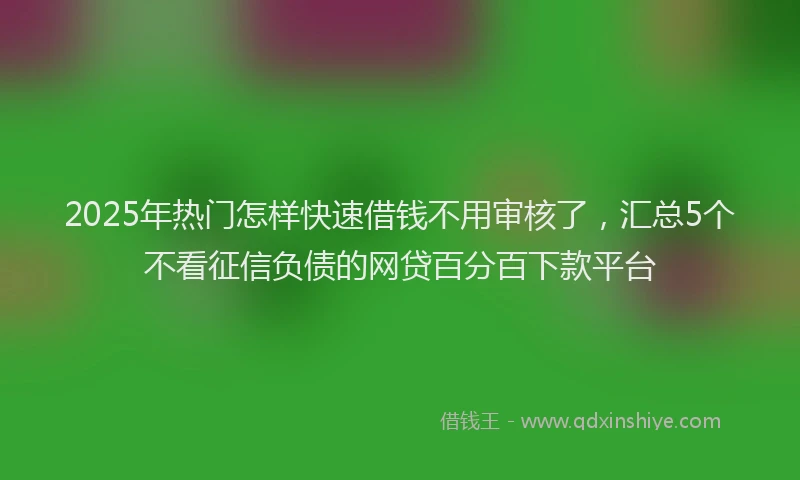 2025年热门怎样快速借钱不用审核了，汇总5个不看征信负债的网贷百分百下款平台