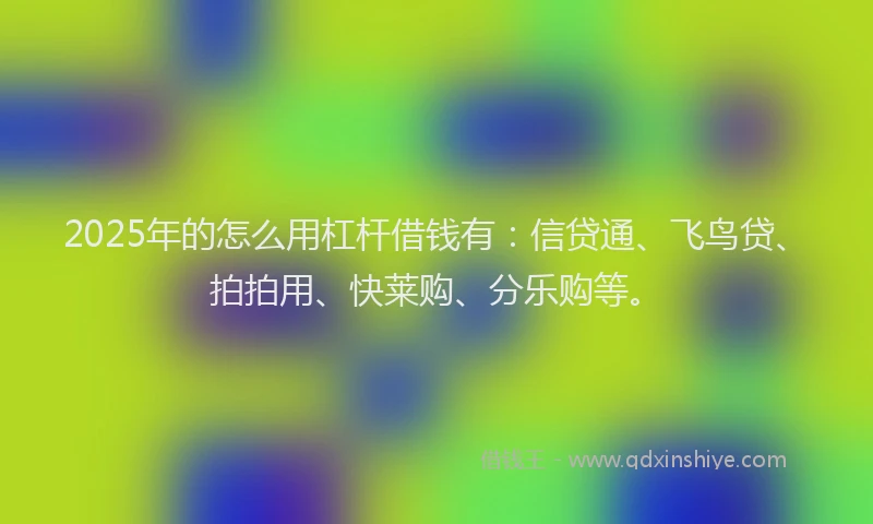 2025年的怎么用杠杆借钱有：信贷通、飞鸟贷、拍拍用、快莱购、分乐购等。