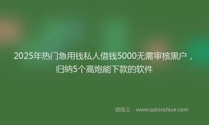 2025年热门急用钱私人借钱5000无需审核黑户，归纳5个高炮能下款的软件