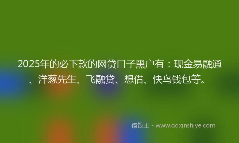 2025年的必下款的网贷口子黑户有：现金易融通、洋葱先生、飞融贷、想借、快鸟钱包等。