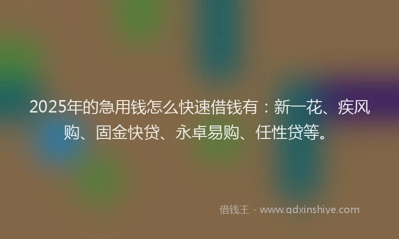 2025年的急用钱怎么快速借钱有：新一花、疾风购、固金快贷、永卓易购、任性贷等。