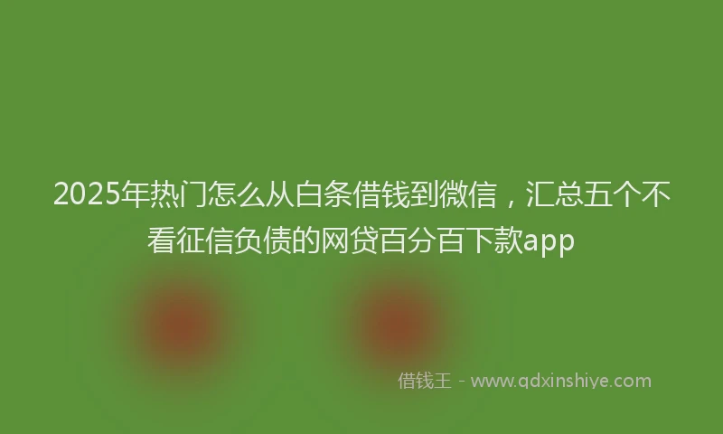 2025年热门怎么从白条借钱到微信，汇总五个不看征信负债的网贷百分百下款app