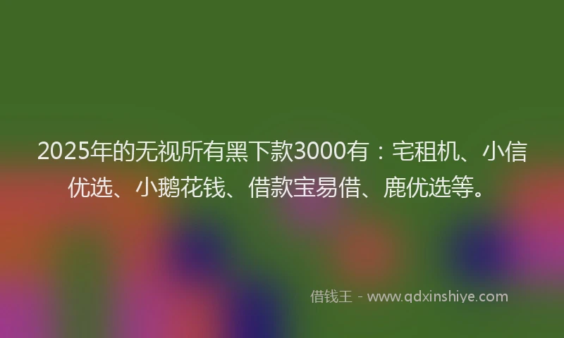 2025年的无视所有黑下款3000有：宅租机、小信优选、小鹅花钱、借款宝易借、鹿优选等。