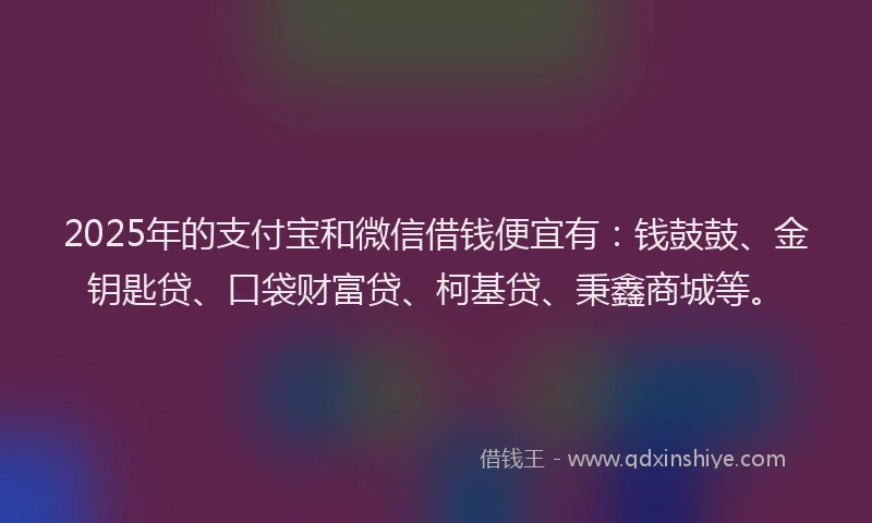 2025年的支付宝和微信借钱便宜有：钱鼓鼓、金钥匙贷、口袋财富贷、柯基贷、秉鑫商城等。