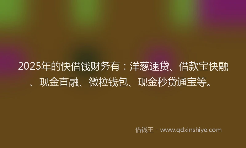2025年的快借钱财务有：洋葱速贷、借款宝快融、现金直融、微粒钱包、现金秒贷通宝等。