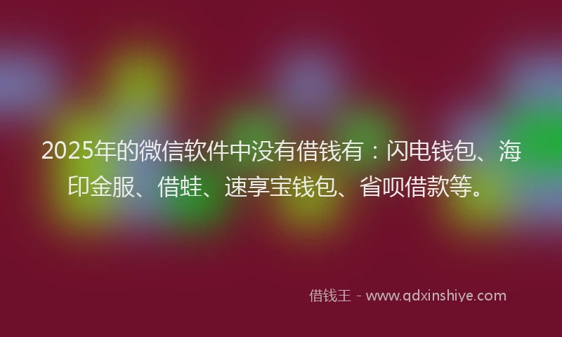 2025年的微信软件中没有借钱有：闪电钱包、海印金服、借蛙、速享宝钱包、省呗借款等。