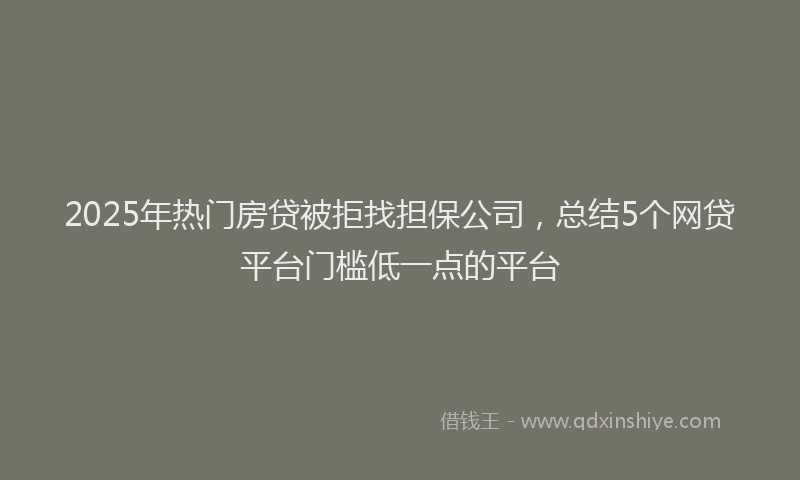 2025年热门房贷被拒找担保公司，总结5个网贷平台门槛低一点的平台