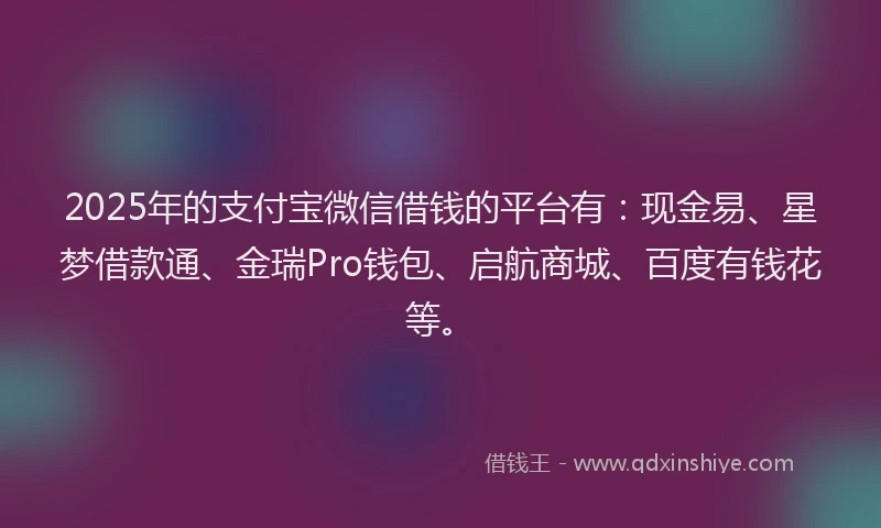 2025年的支付宝微信借钱的平台有：现金易、星梦借款通、金瑞Pro钱包、启航商城、百度有钱花等。