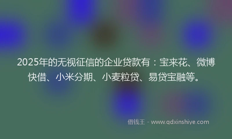 2025年的无视征信的企业贷款有：宝来花、微博快借、小米分期、小麦粒贷、易贷宝融等。