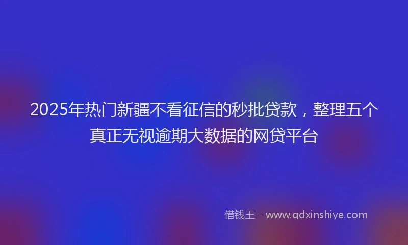 2025年热门新疆不看征信的秒批贷款，整理五个真正无视逾期大数据的网贷平台