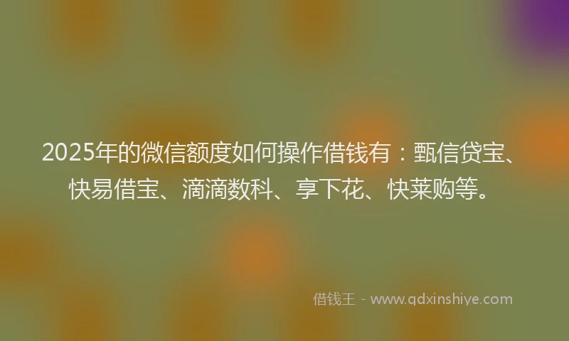 2025年的微信额度如何操作借钱有：甄信贷宝、快易借宝、滴滴数科、享下花、快莱购等。
