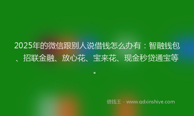2025年的微信跟别人说借钱怎么办有：智融钱包、招联金融、放心花、宝来花、现金秒贷通宝等。