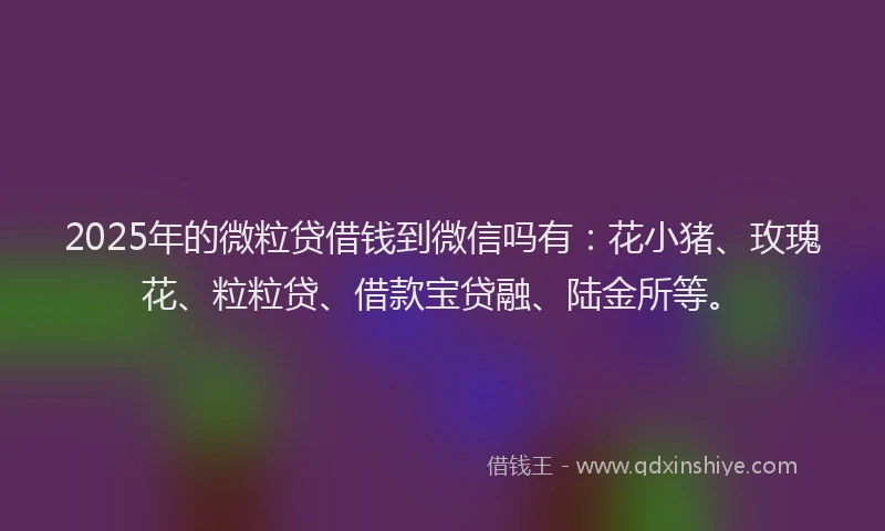2025年的微粒贷借钱到微信吗有：花小猪、玫瑰花、粒粒贷、借款宝贷融、陆金所等。