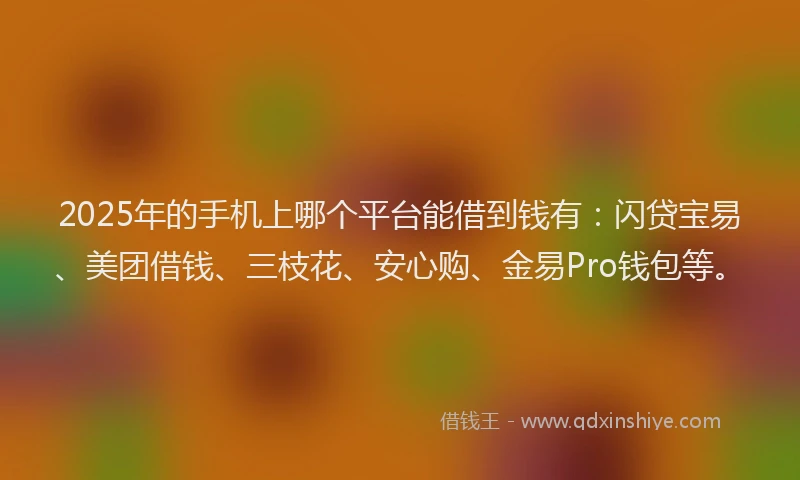 2025年的手机上哪个平台能借到钱有：闪贷宝易、美团借钱、三枝花、安心购、金易Pro钱包等。