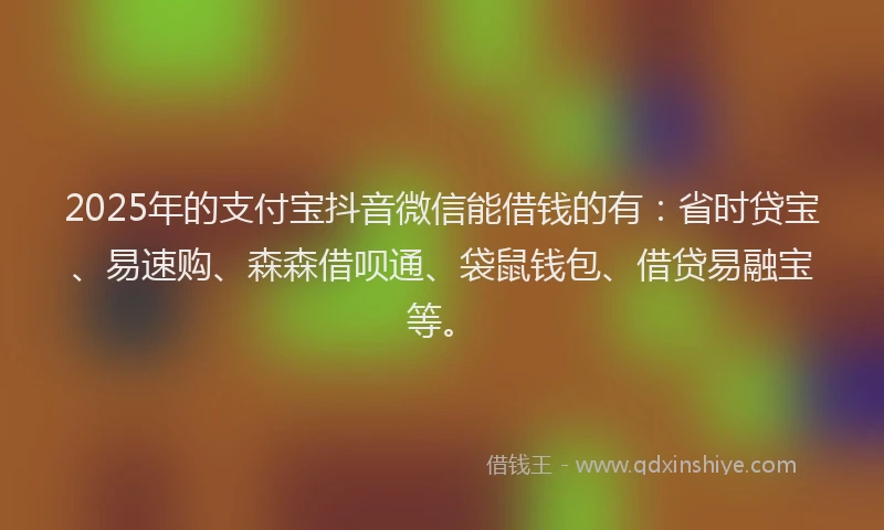 2025年的支付宝抖音微信能借钱的有：省时贷宝、易速购、森森借呗通、袋鼠钱包、借贷易融宝等。