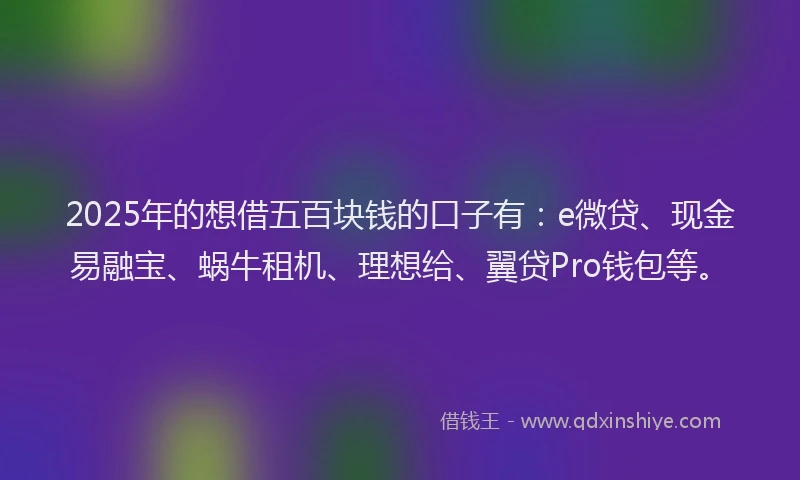 2025年的想借五百块钱的口子有：e微贷、现金易融宝、蜗牛租机、理想给、翼贷Pro钱包等。