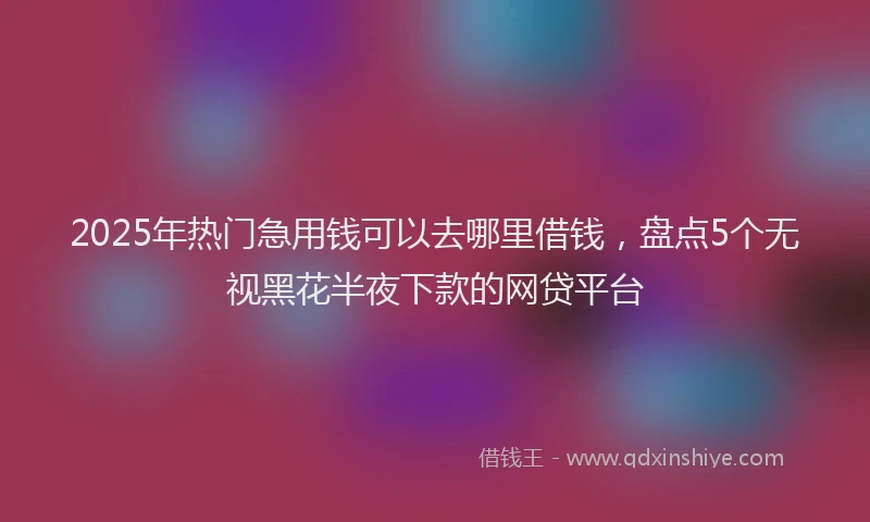 2025年热门急用钱可以去哪里借钱，盘点5个无视黑花半夜下款的网贷平台