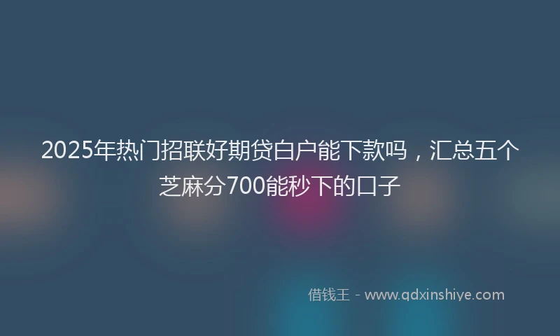 2025年热门招联好期贷白户能下款吗，汇总五个芝麻分700能秒下的口子