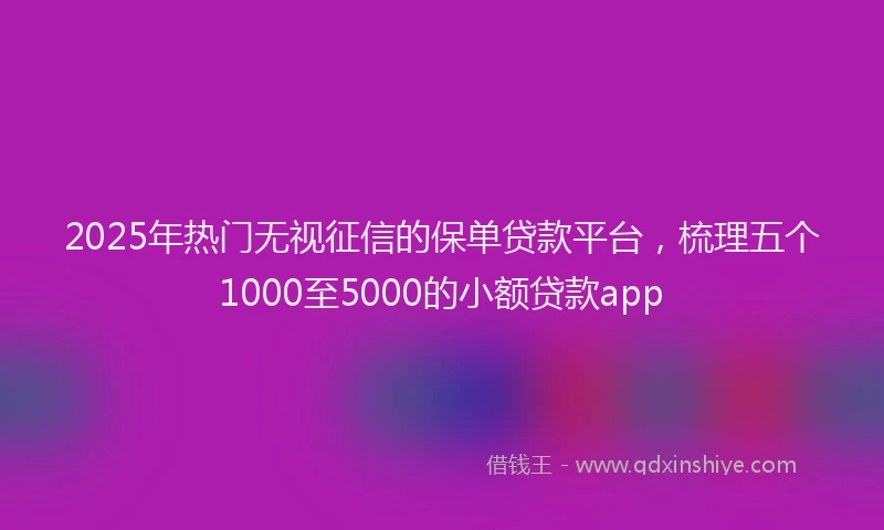 2025年热门无视征信的保单贷款平台，梳理五个1000至5000的小额贷款app