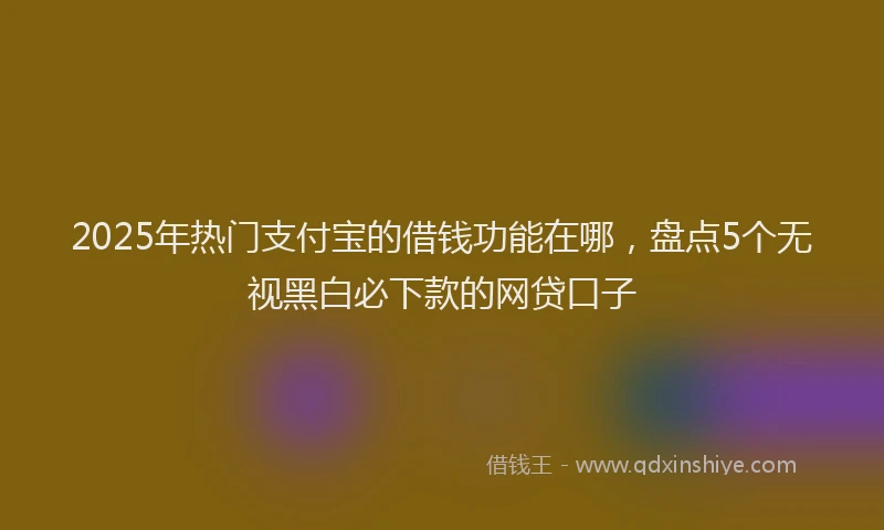 2025年热门支付宝的借钱功能在哪，盘点5个无视黑白必下款的网贷口子