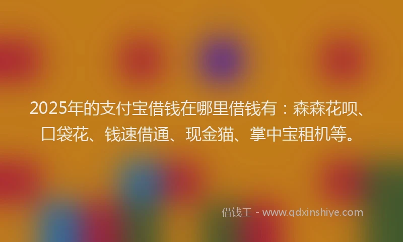 2025年的支付宝借钱在哪里借钱有：森森花呗、口袋花、钱速借通、现金猫、掌中宝租机等。