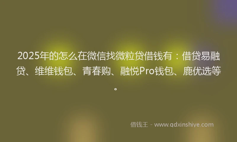 2025年的怎么在微信找微粒贷借钱有：借贷易融贷、维维钱包、青春购、融悦Pro钱包、鹿优选等。