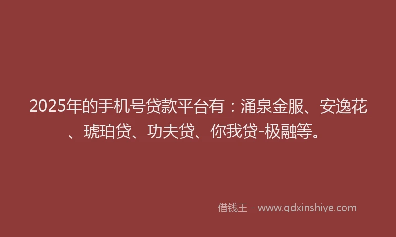 2025年的手机号贷款平台有：涌泉金服、安逸花、琥珀贷、功夫贷、你我贷-极融等。