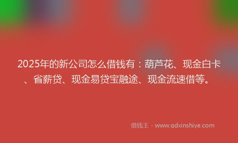 2025年的新公司怎么借钱有：葫芦花、现金白卡、省薪贷、现金易贷宝融途、现金流速借等。