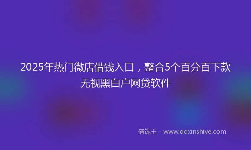 2025年热门微店借钱入口，整合5个百分百下款无视黑白户网贷软件