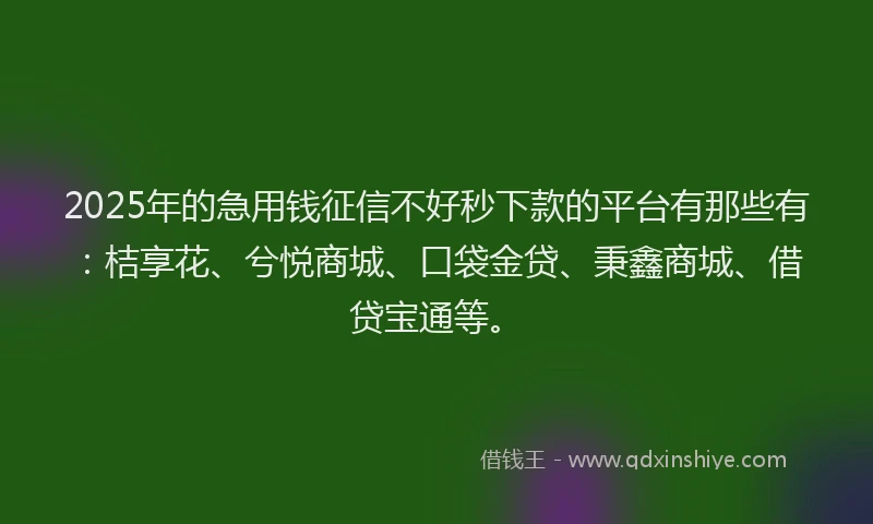 2025年的急用钱征信不好秒下款的平台有那些有：桔享花、兮悦商城、口袋金贷、秉鑫商城、借贷宝通等。