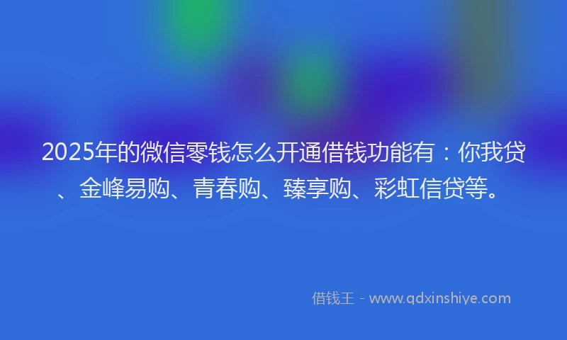 2025年的微信零钱怎么开通借钱功能有：你我贷、金峰易购、青春购、臻享购、彩虹信贷等。