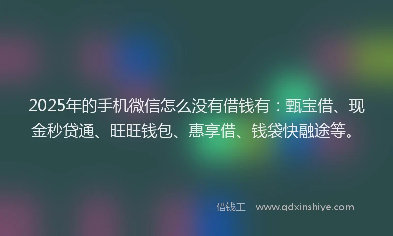 2025年的手机微信怎么没有借钱有：甄宝借、现金秒贷通、旺旺钱包、惠享借、钱袋快融途等。