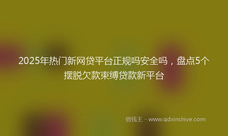 2025年热门新网贷平台正规吗安全吗，盘点5个摆脱欠款束缚贷款新平台
