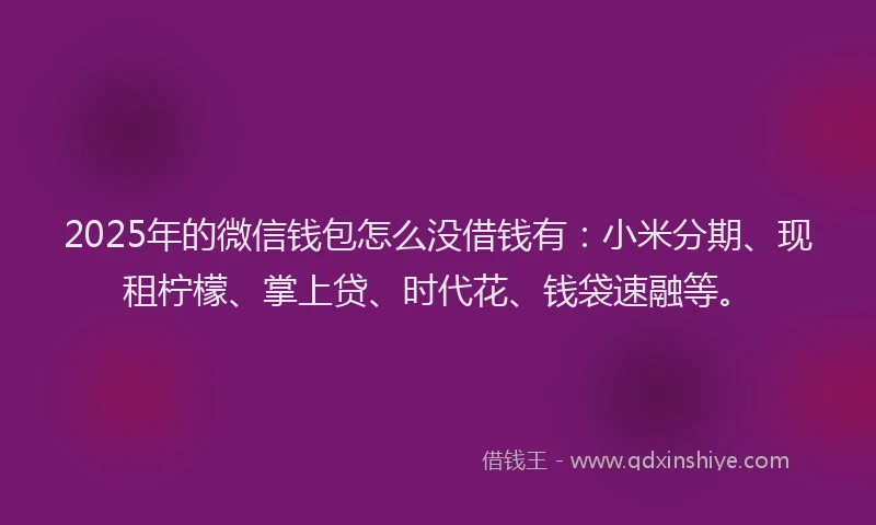 2025年的微信钱包怎么没借钱有：小米分期、现租柠檬、掌上贷、时代花、钱袋速融等。