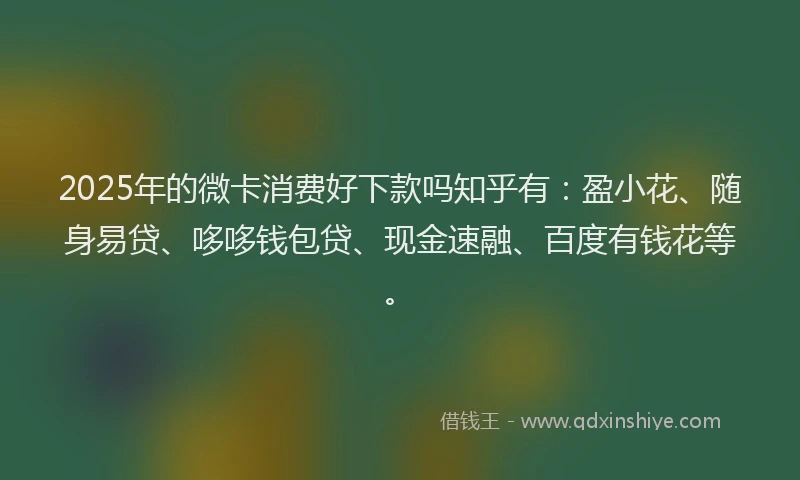 2025年的微卡消费好下款吗知乎有：盈小花、随身易贷、哆哆钱包贷、现金速融、百度有钱花等。