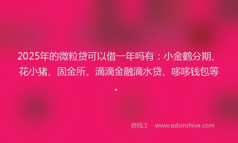 2025年的微粒贷可以借一年吗有：小金鹤分期、花小猪、固金所、滴滴金融滴水贷、哆哆钱包等。
