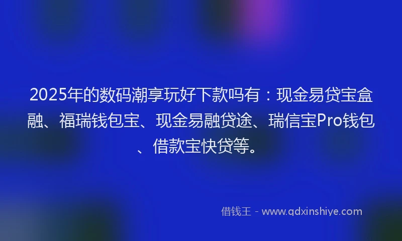 2025年的数码潮享玩好下款吗有：现金易贷宝盒融、福瑞钱包宝、现金易融贷途、瑞信宝Pro钱包、借款宝快贷等。