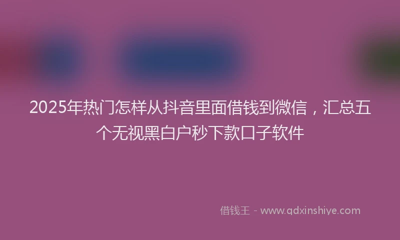 2025年热门怎样从抖音里面借钱到微信，汇总五个无视黑白户秒下款口子软件