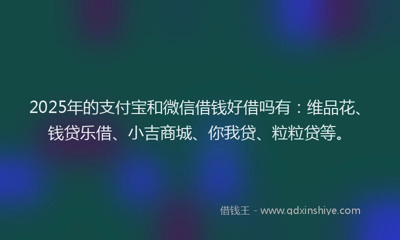 2025年的支付宝和微信借钱好借吗有：维品花、钱贷乐借、小吉商城、你我贷、粒粒贷等。