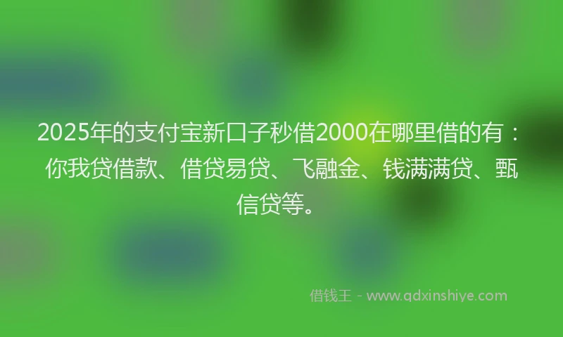 2025年的支付宝新口子秒借2000在哪里借的有：你我贷借款、借贷易贷、飞融金、钱满满贷、甄信贷等。