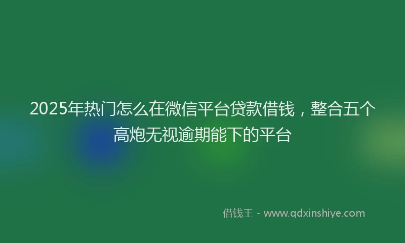 2025年热门怎么在微信平台贷款借钱，整合五个高炮无视逾期能下的平台