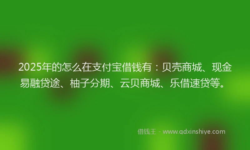 2025年的怎么在支付宝借钱有：贝壳商城、现金易融贷途、柚子分期、云贝商城、乐借速贷等。