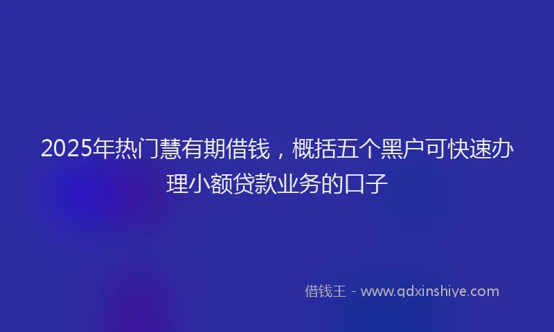 2025年热门慧有期借钱，概括五个黑户可快速办理小额贷款业务的口子