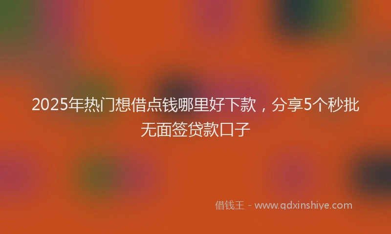 2025年热门想借点钱哪里好下款，分享5个秒批无面签贷款口子