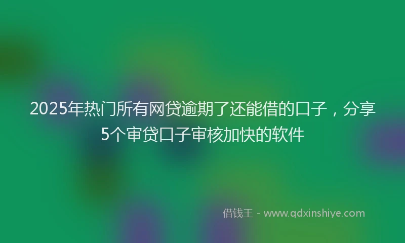 2025年热门所有网贷逾期了还能借的口子，分享5个审贷口子审核加快的软件