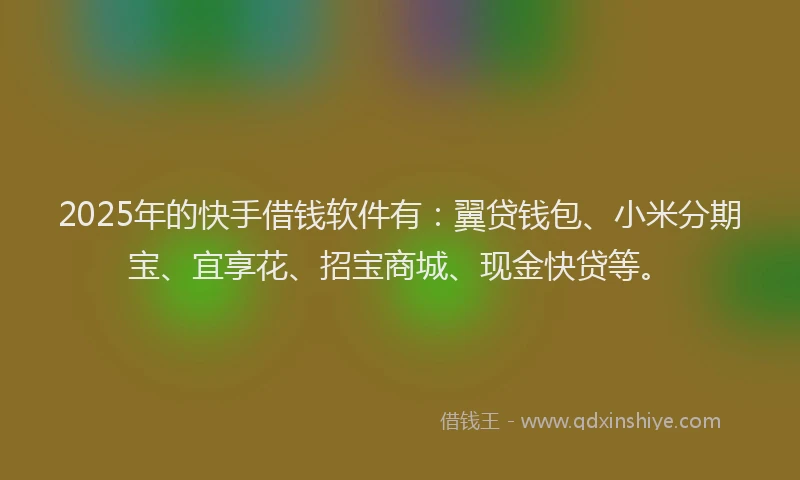 2025年的快手借钱软件有：翼贷钱包、小米分期宝、宜享花、招宝商城、现金快贷等。