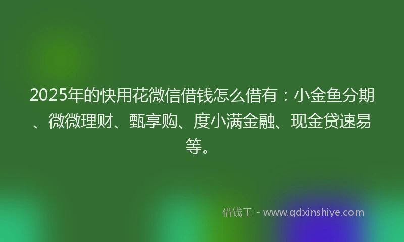 2025年的快用花微信借钱怎么借有：小金鱼分期、微微理财、甄享购、度小满金融、现金贷速易等。