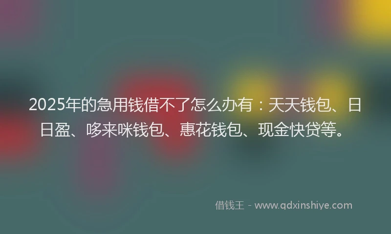 2025年的急用钱借不了怎么办有：天天钱包、日日盈、哆来咪钱包、惠花钱包、现金快贷等。