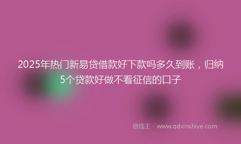2025年热门新易贷借款好下款吗多久到账，归纳5个贷款好做不看征信的口子